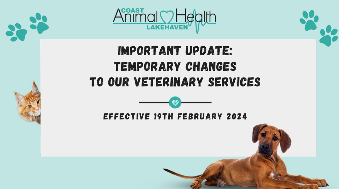 Important Update Regarding Veterinary Services at Coast Animal Health